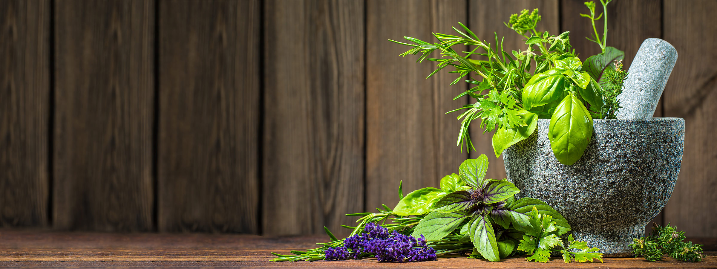 Medicinal Herbs