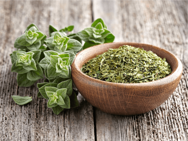 Organic Oregano
