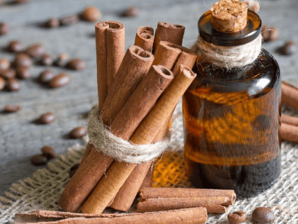 Organic Cinnamon oil