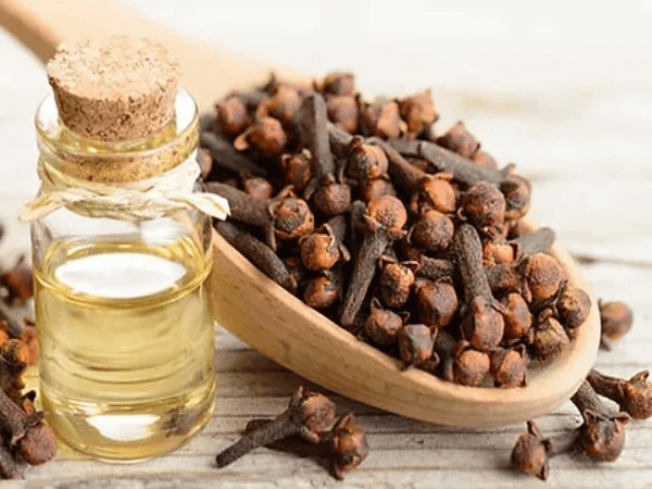 Organic Clove Oil