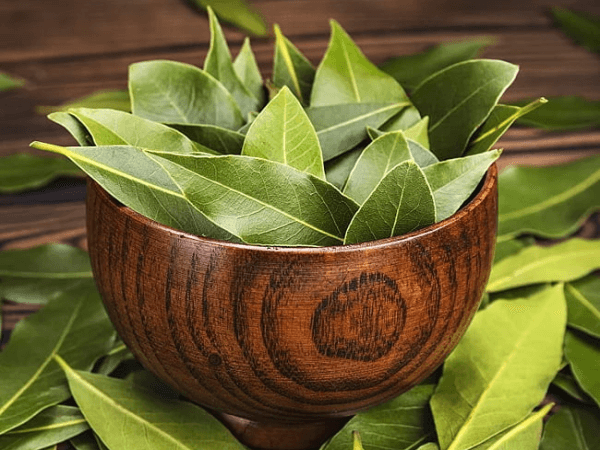 Organic Bay Leaf