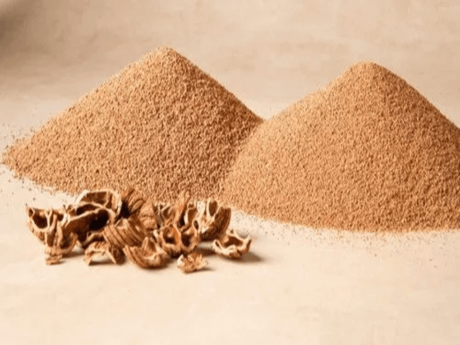 Organic Apricot shell powder