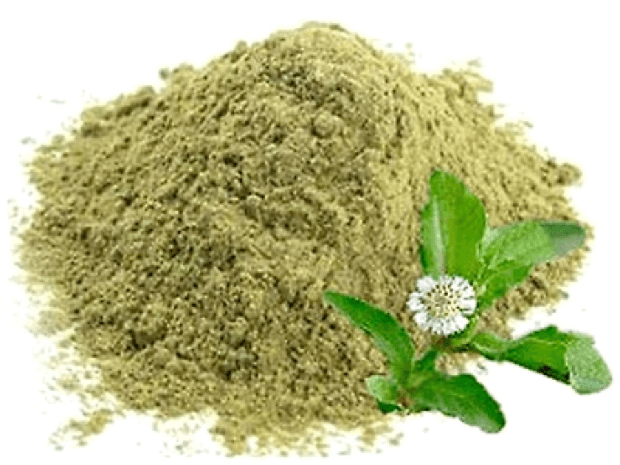 Organic Vidarikand Powder
