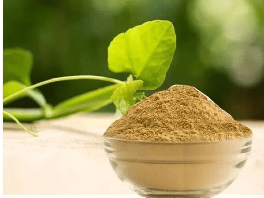 Organic Hadjod Powder