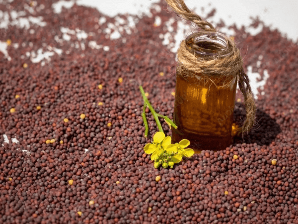Organic Black Mustard Oil
