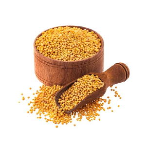 Organic Yellow  Mustard Seeds