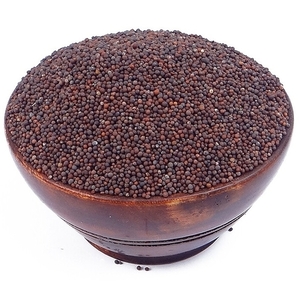 Organic Small Mustard (rai)