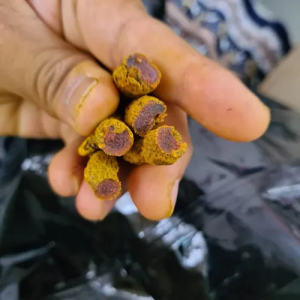 Organic Turmeric 5% Curcumin